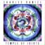 Charles Daniel - Temple Of Idiots